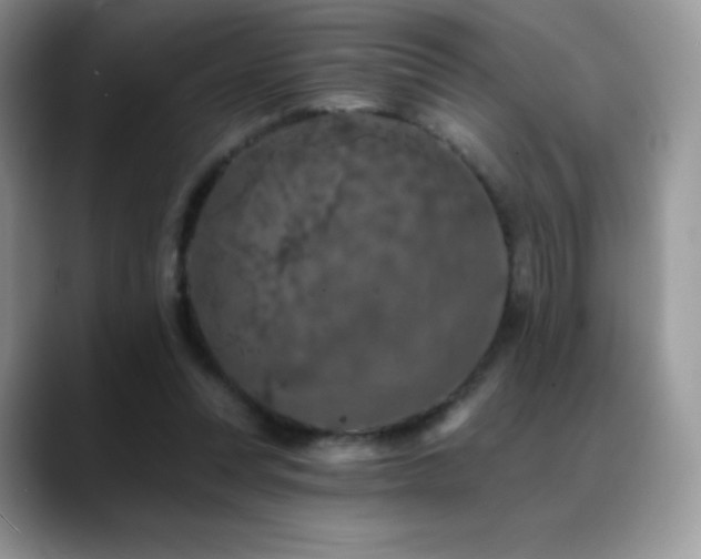 X0000088920351200706081403