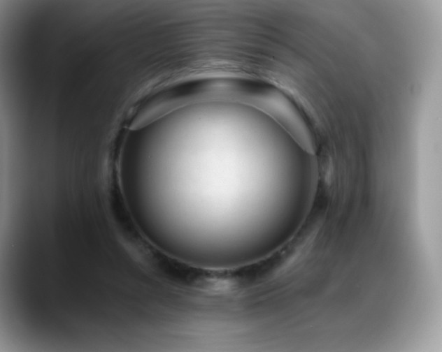 X0000088920352200706081403
