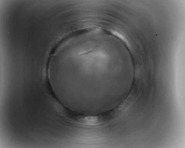 X0000088920353200706081403