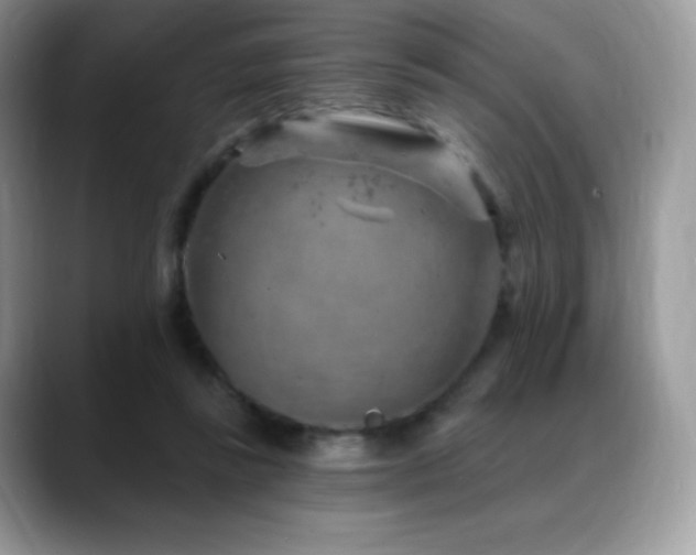 X0000088920355200706081403