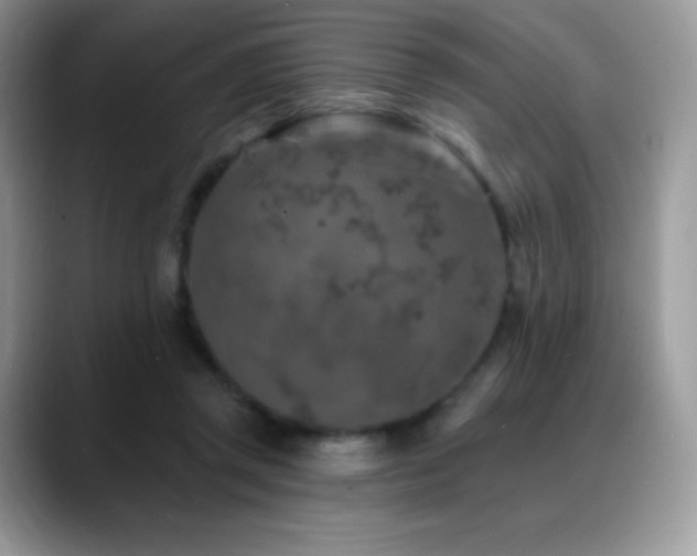 X0000088920357200706081403
