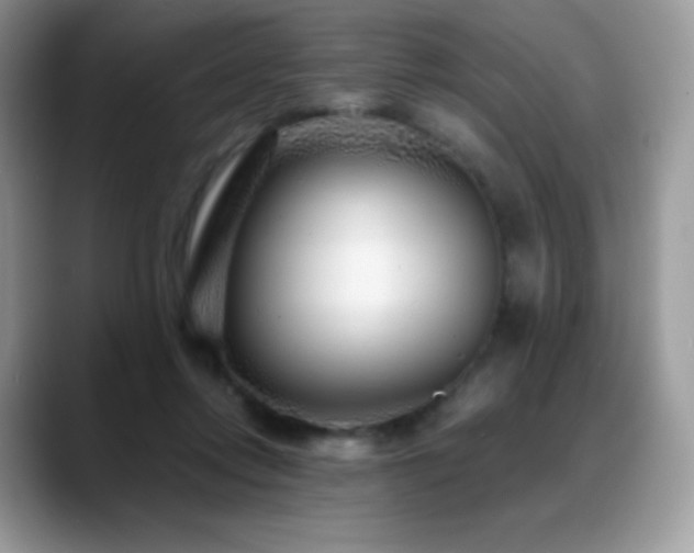 X0000088920358200706081403