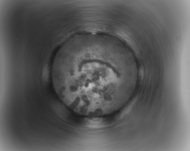 X0000088920359200706081403