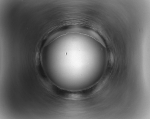 X0000088920360200706081403