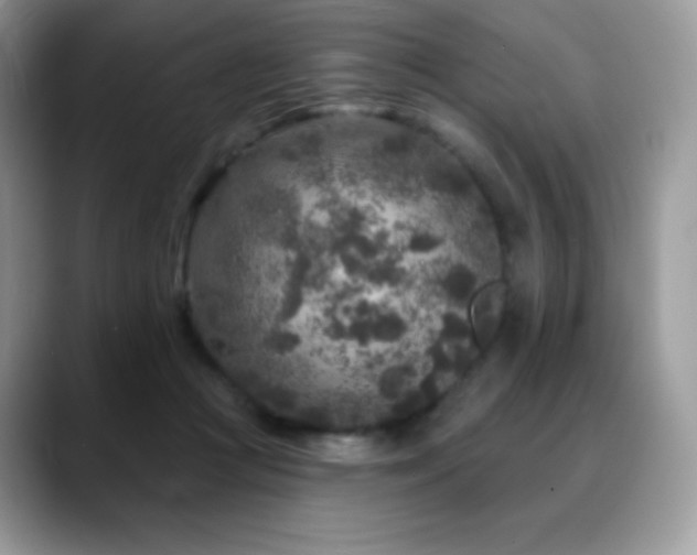 X0000088920361200706081403