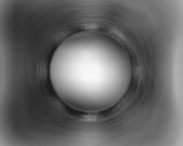 X0000088920362200706081403