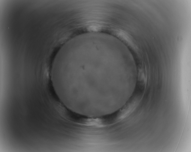 X0000088920363200706081403
