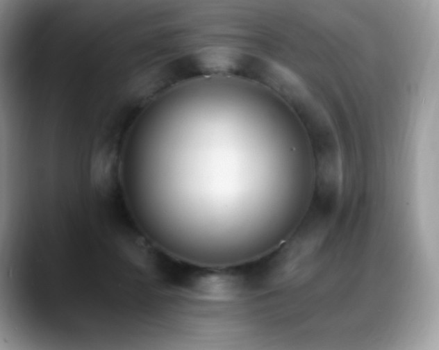 X0000088920364200706081403
