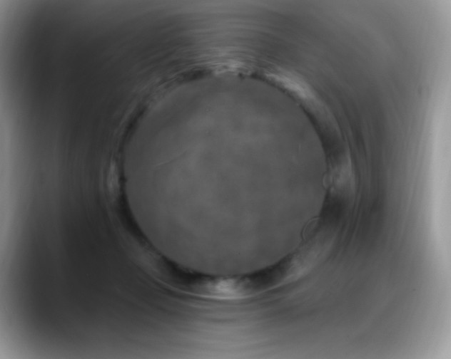 X0000088920365200706081403