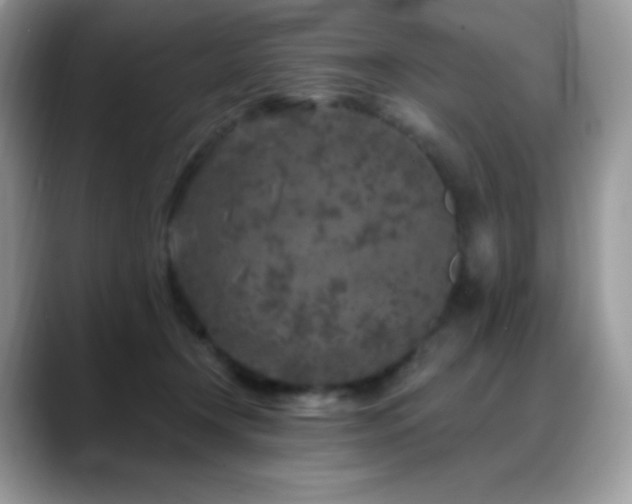 X0000088920366200706081403