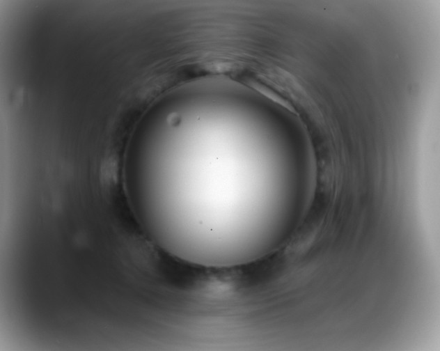 X0000088920368200706081403