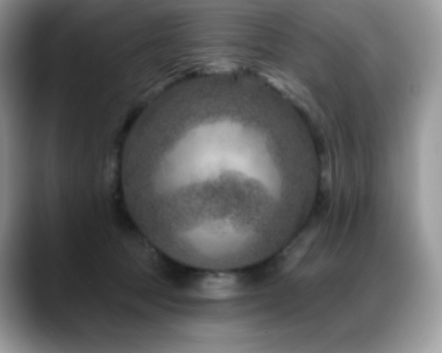 X0000088920369200706081403
