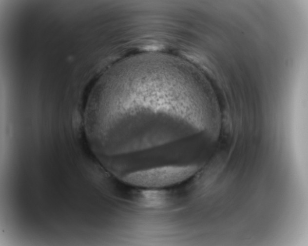 X0000088920371200706081403