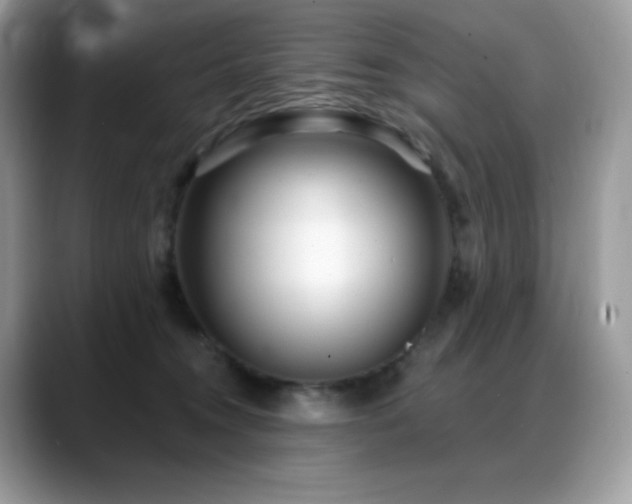 X0000088920372200706081403