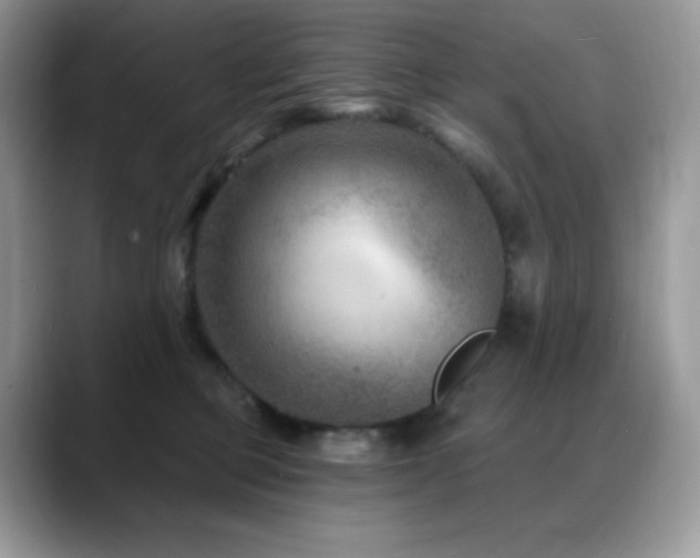 X0000088920373200706081403