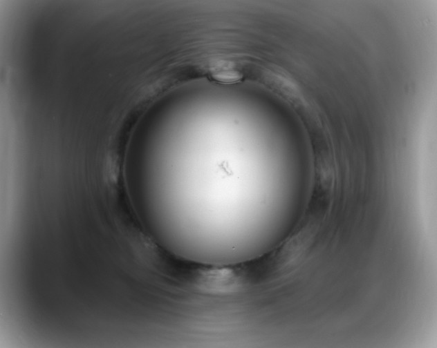 X0000088920374200706081403