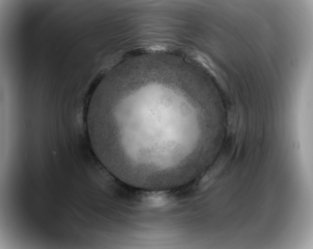 X0000088920377200706081403