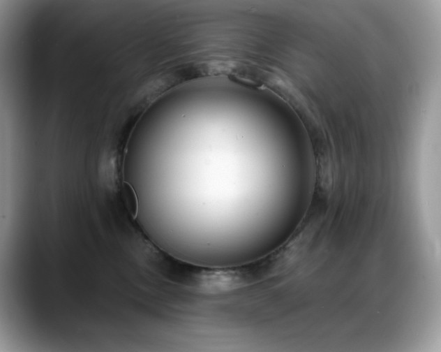 X0000088920378200706081403