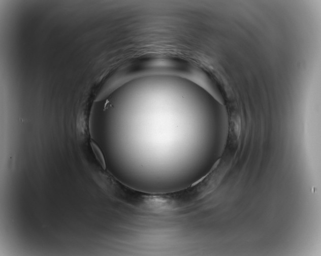 X0000088920380200706081404