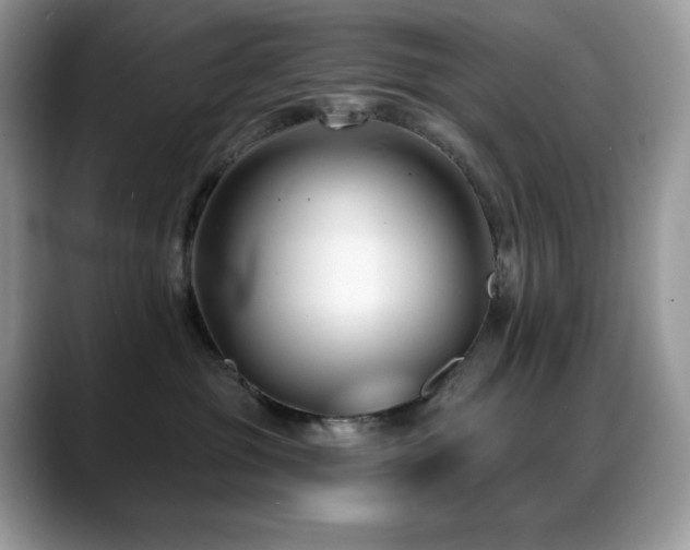 X0000088920381200706081404