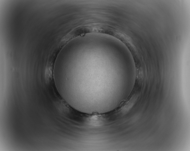 X0000088920382200706081404