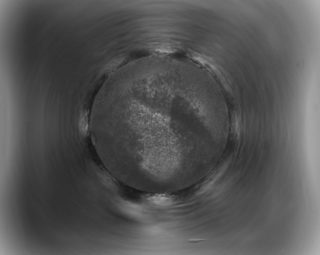 X0000088920383200706081404