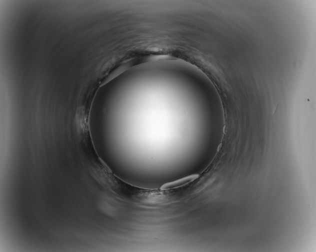 X0000088920384200706081404