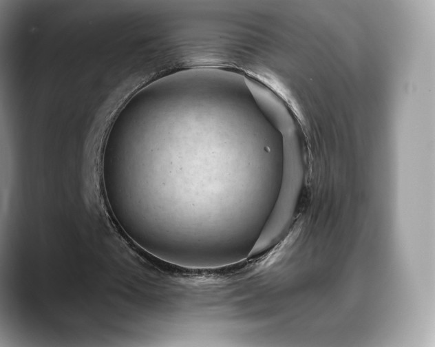 X0000088920385200706081403