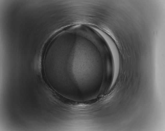 X0000088920387200706081403