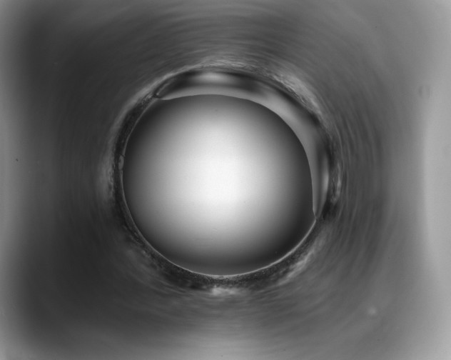 X0000088920388200706081403