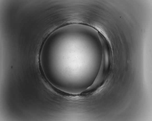 X0000088920389200706081403
