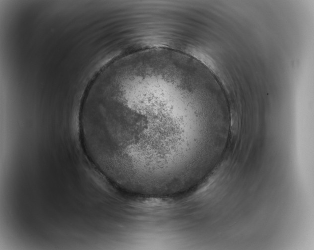 X0000088920390200706081403