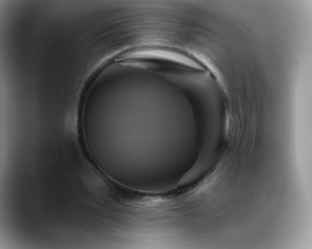 X0000088920391200706081403