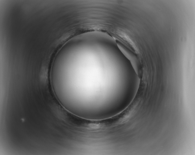 X0000088920394200706081403