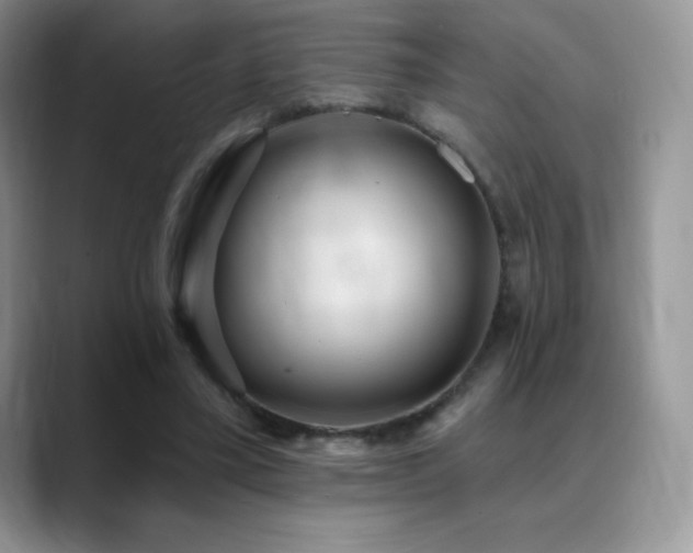 X0000088920395200706081403