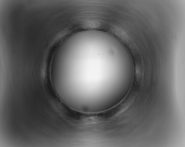X0000088920396200706081403