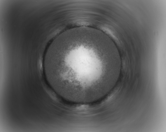 X0000088920398200706081403
