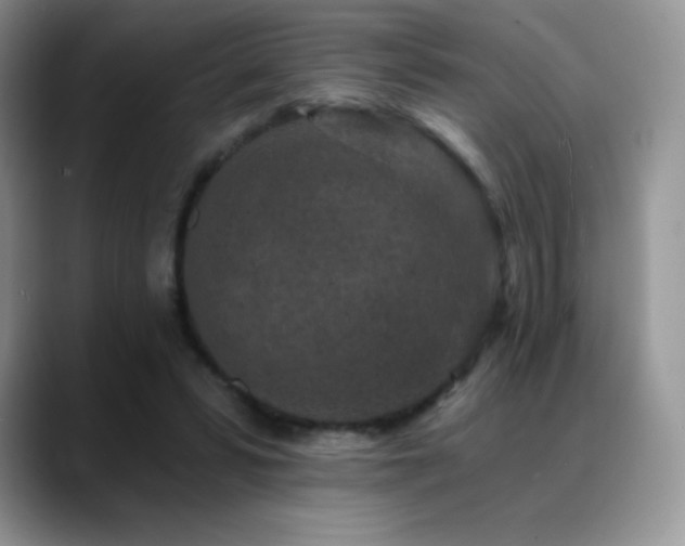 X0000088920399200706081403