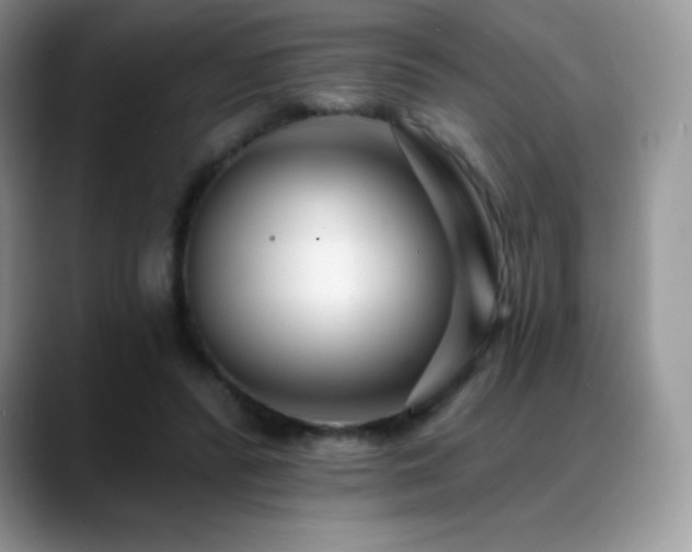 X0000088920400200706081403