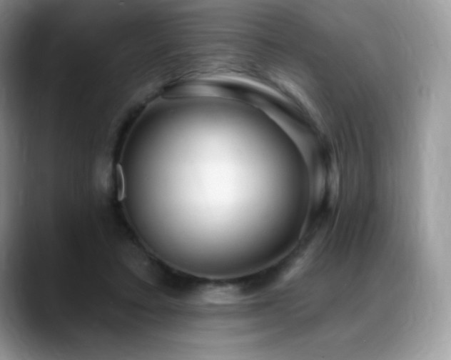 X0000088920403200706081403