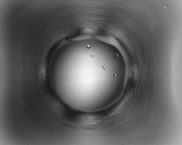 X0000088920404200706081403