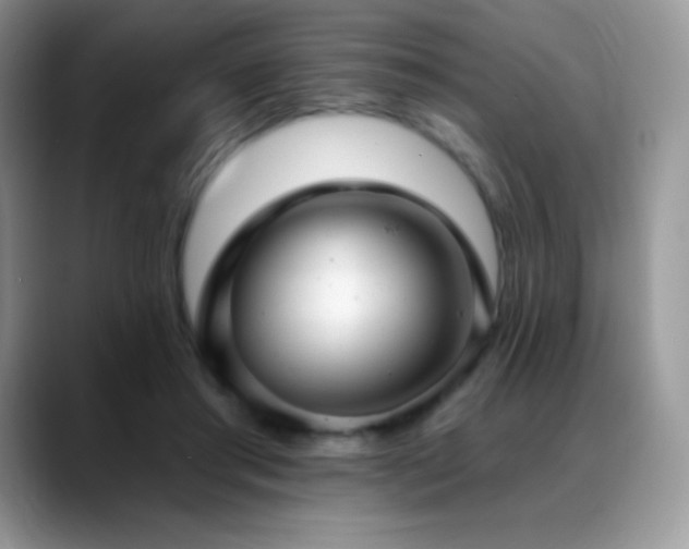 X0000088920405200706081403