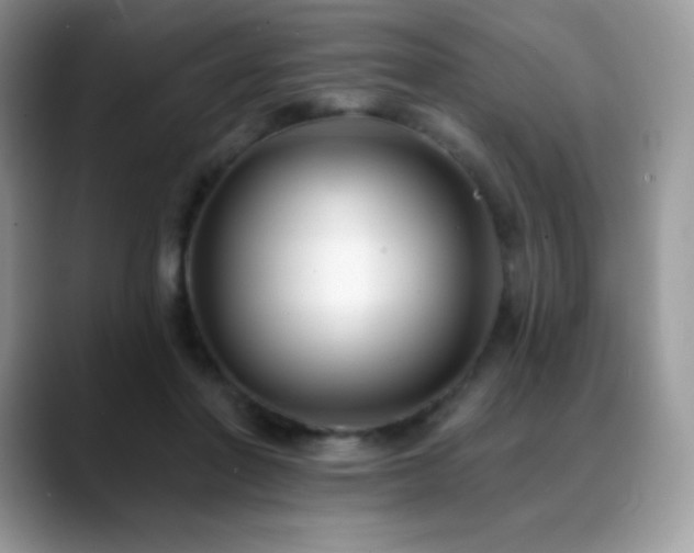 X0000088920406200706081403