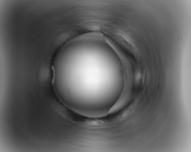 X0000088920407200706081403