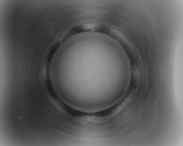 X0000088920408200706081403