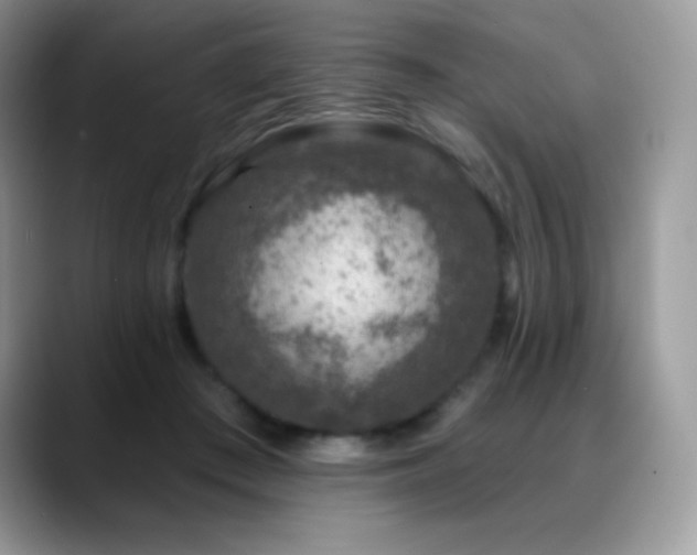 X0000088920409200706081403