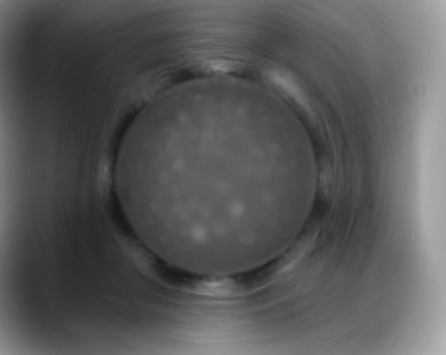 X0000088920410200706081403