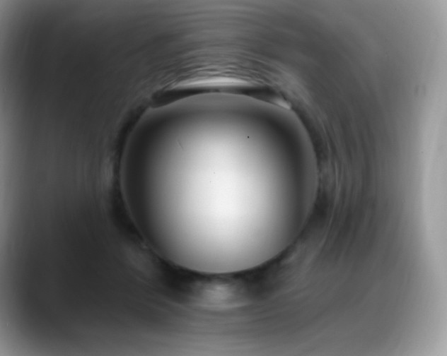 X0000088920412200706081403