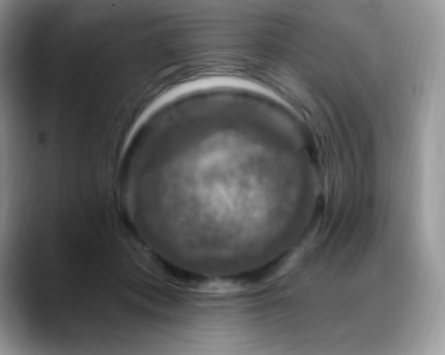 X0000088920413200706081403