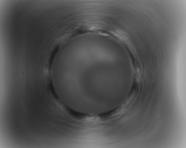 X0000088920415200706081403